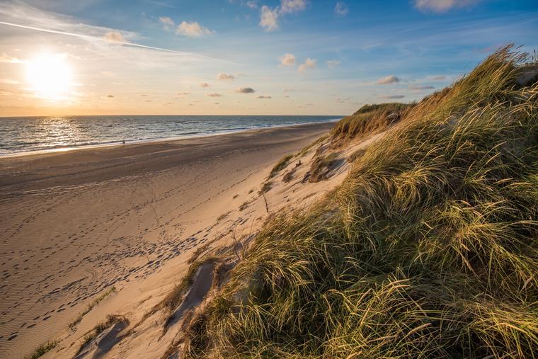 Ein Ferienhaus Nordjutland An Der Spitze Danemarks Dansommer
