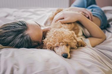 Ferienhausurlaub mit Hund